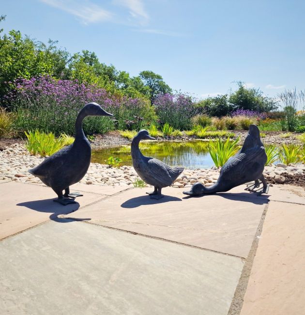 Garden landscaping patio and pond